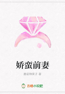 娇蛮前妻