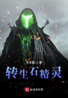 轉生石精靈在線閱讀
