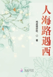 人海路遇西