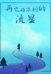再也碰不到的流星