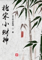 北宋小财神在线阅读