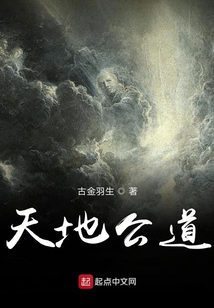 天地公道在线阅读