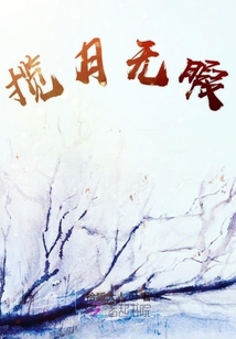 攬月無暇