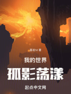 我的世界孤影荡漾在线阅读