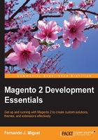 Magento 2 Development Essentials在線閱讀