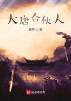 大唐合伙人