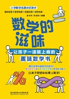 数学的滋味：让孩子一读就上瘾的趣味数学书