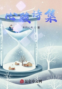 心酸詩(shī)集