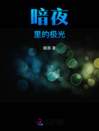 暗夜里的極光在線閱讀