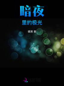 暗夜里的極光