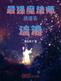 最强魔法师选择去流浪