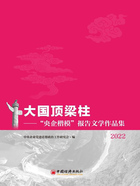 大国顶梁柱：“央企楷模”报告文学作品集（2022）在线阅读