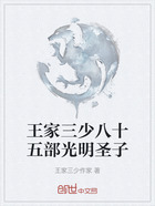 王家三少八十五部光明圣子在線閱讀