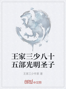 王家三少八十五部光明圣子