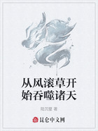 从风滚草开始吞噬诸天在线阅读