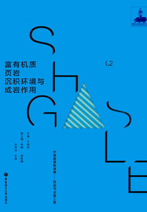 富有機(jī)質(zhì)頁(yè)巖沉積環(huán)境與成巖作用