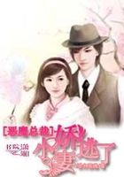 惡魔總裁小嬌妻逃了在線閱讀