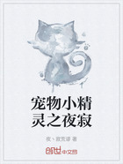 宠物小精灵之夜寂在线阅读
