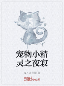 寵物小精靈之夜寂