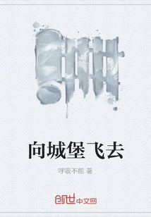向城堡飛去
