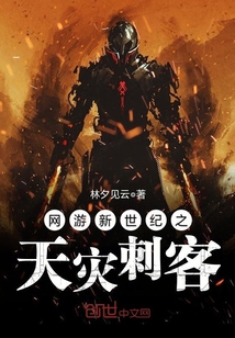 網游新世紀之天災刺客
