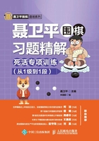 聂卫平围棋习题精解：死活专项训练（从1级到1段）在线阅读