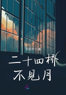 二十四橋不見月