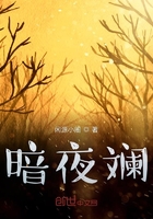 暗夜斕在線閱讀