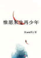 惟愿來生再少年在線閱讀
