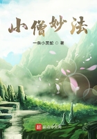 小僧妙法在线阅读