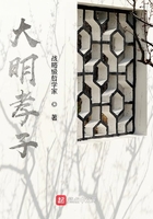 大明孝子在線閱讀