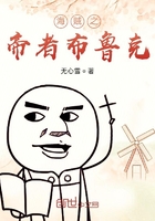 海贼之帝者布鲁克在线阅读