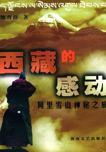 西藏的感動：阿里雪山神秘之旅