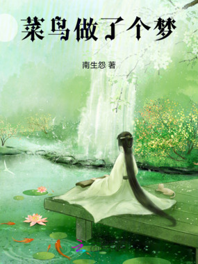 菜鸟做了个梦在线阅读