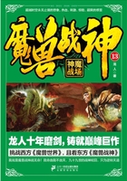 魔兽战神13：神魔战场