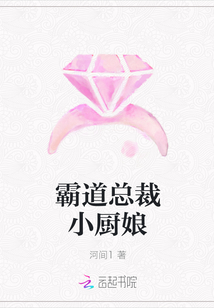 霸道總裁小廚娘