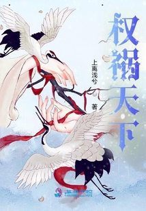 權(quán)禍天下
