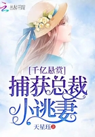 千億懸賞：捕獲總裁小逃妻在線閱讀
