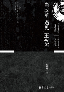 當(dāng)改革遇見王安石