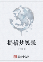 提稽夢笑錄在線閱讀