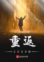 重返2008年在线阅读