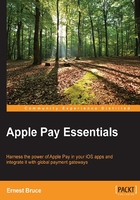 Apple Pay Essentials在線閱讀