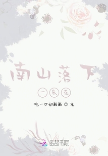 南山落下一朵花