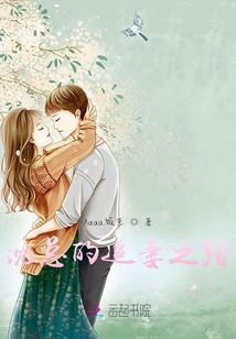 沈總的追妻之路