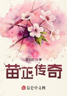 苗正传奇