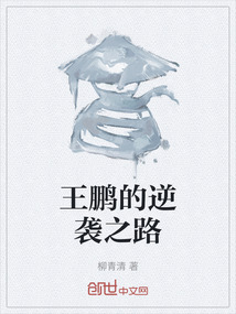 王鹏的逆袭之路