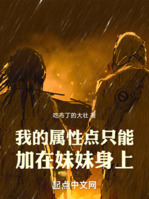 我的屬性點只能加在妹妹身上