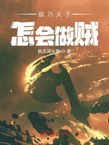 朕乃天子，怎會做賊？