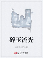 碎玉流光在线阅读