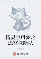 精灵宝可梦之迷宫探险队
